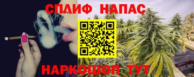 прущие грибы Ставрополь