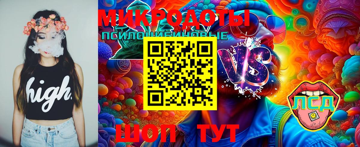 Балашиха  Галлюциногенные грибы Psilocybe  Вход с VPN 
